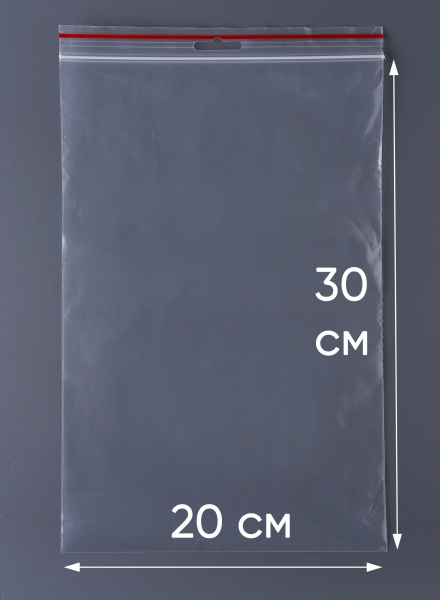 Пакет с замком Zip-Lock (Зип лок), 20х30 см, 60 мкм, с европодвесом, сверхпрочный, 1000 шт.