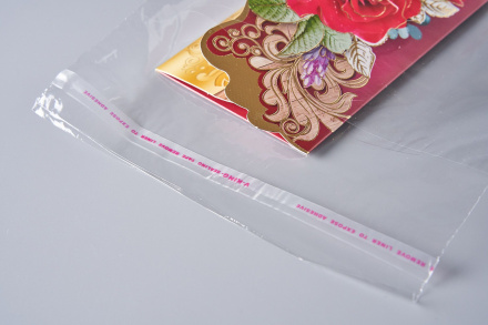 Пакет упаковочный ПП с клеевым клапаном, 16х22+6 см, 25 мкм, 1000 шт.